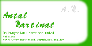 antal martinat business card